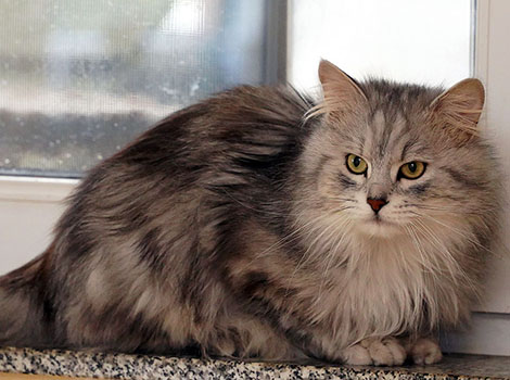 Karlo am 29. Mai 2025